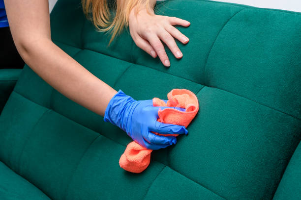 Fabric sofa being cleaned with an upholstery tool